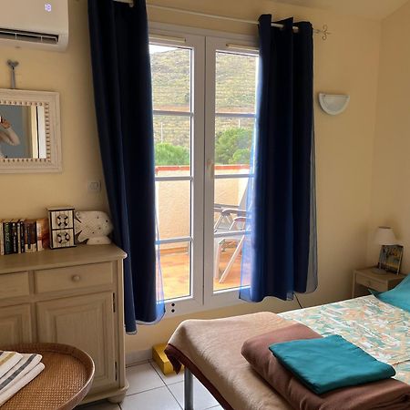 Apartamento Aloes Cerbère Exterior foto