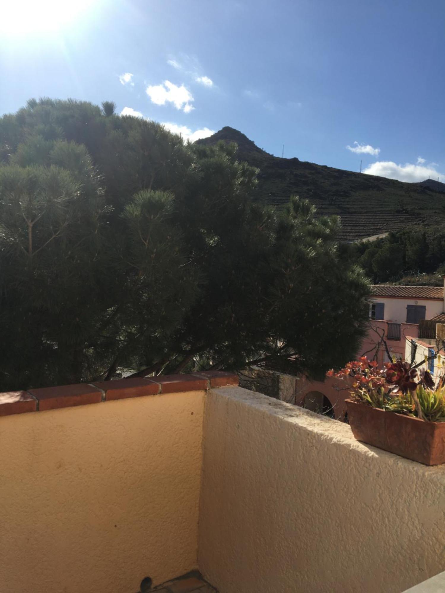 Apartamento Aloes Cerbère Exterior foto